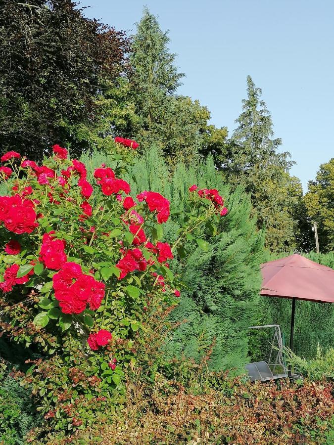 Le Domaine De Shania Casa rural Provenchères-sur-Fave